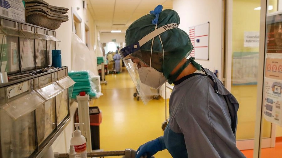 Reparto Covid a Marche Nord: almeno dieci donne hanno fatto ricorso al dermatologo