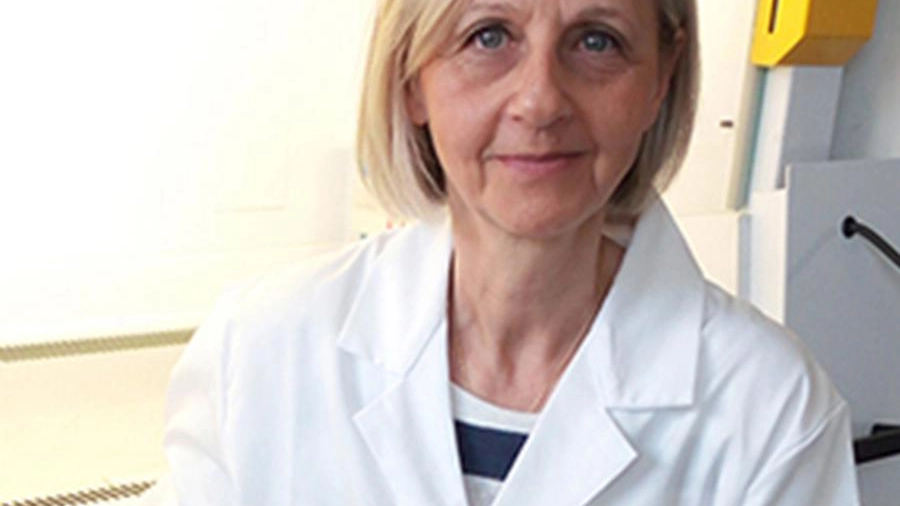 La professoressa Maria Grazia Cusi, direttrice del laboratorio di Microbiologia