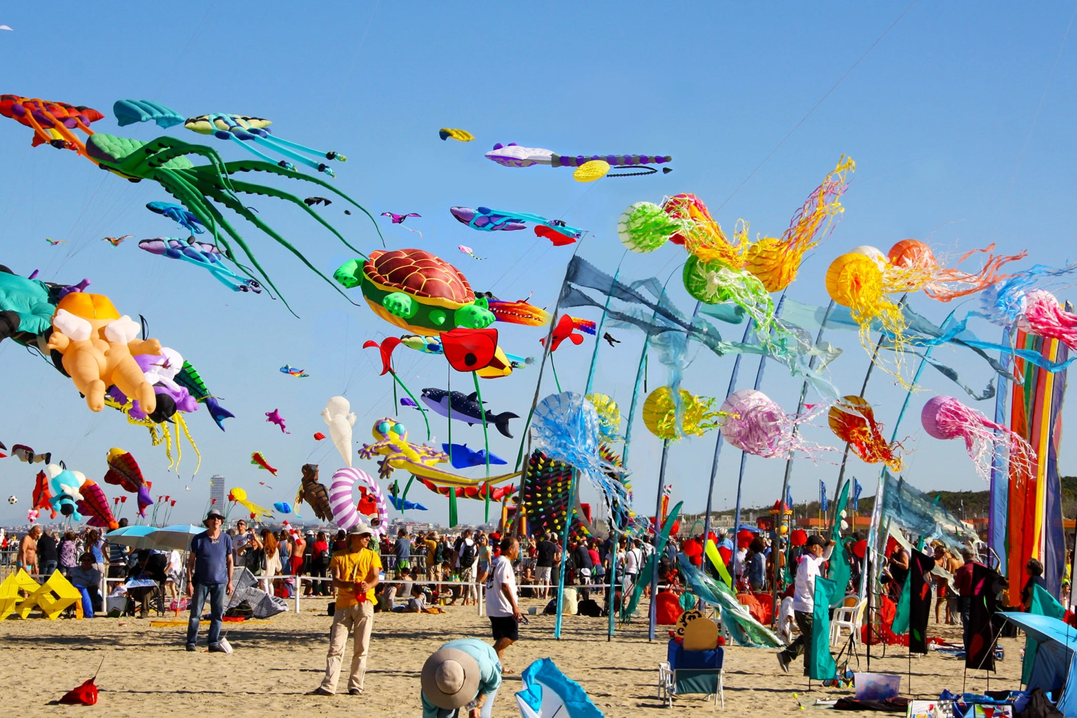 Festival degli aquiloni a Cervia, dal 21 aprile al 1 maggio tantissimi eventi dedicati all'arte eolica adatti a grandi e piccini (foto: F. Perletti))