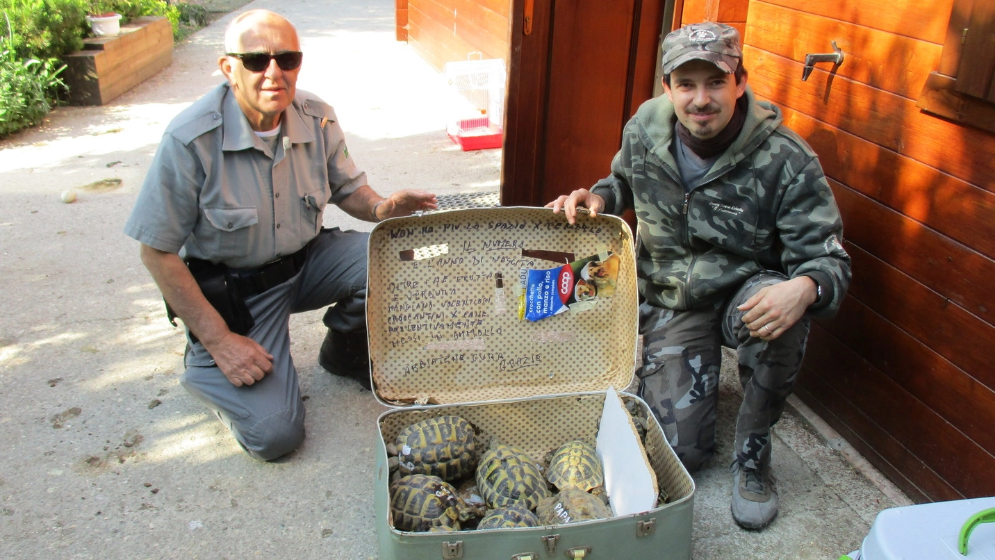 Le guardie ecologiche di Legambiente con la valigia piena di tartarughe recuperata stamattina
