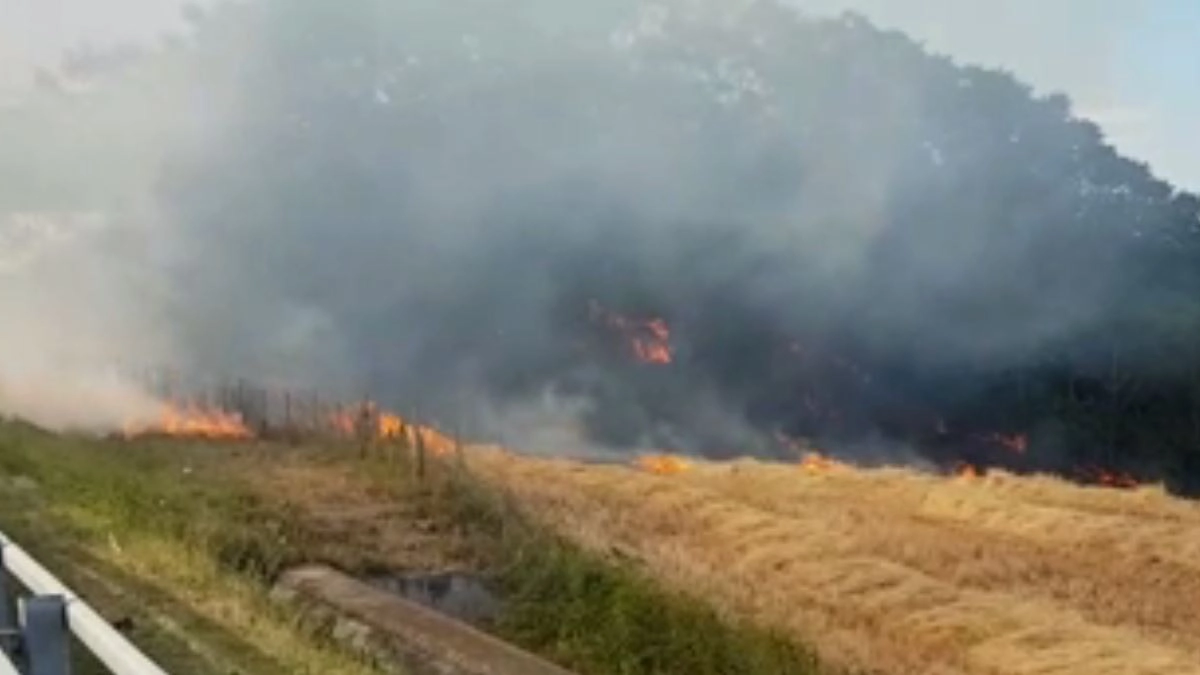 Porto Potenza, grosso incendio vicino all'autostrada A14