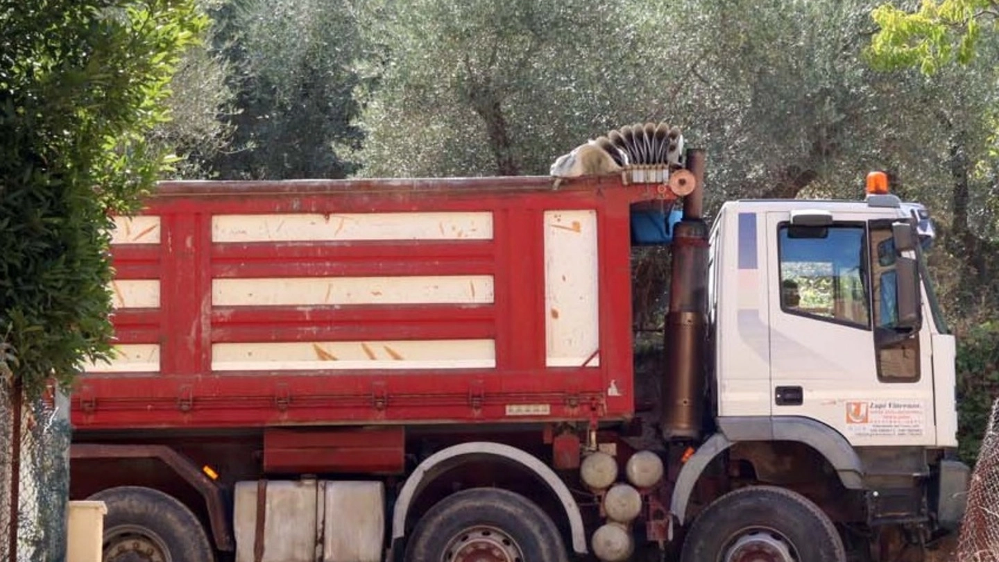 Le ruspe e i camion sono entrate in azione a porta Romana (Foto Labolognese)