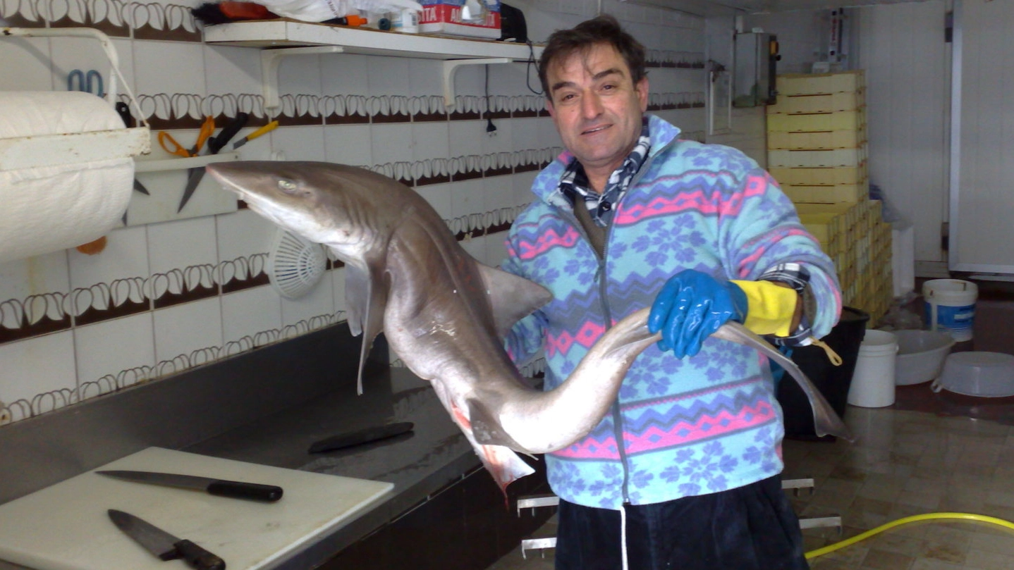 Pietro Sarchiè con uno squalo nel suo negozio