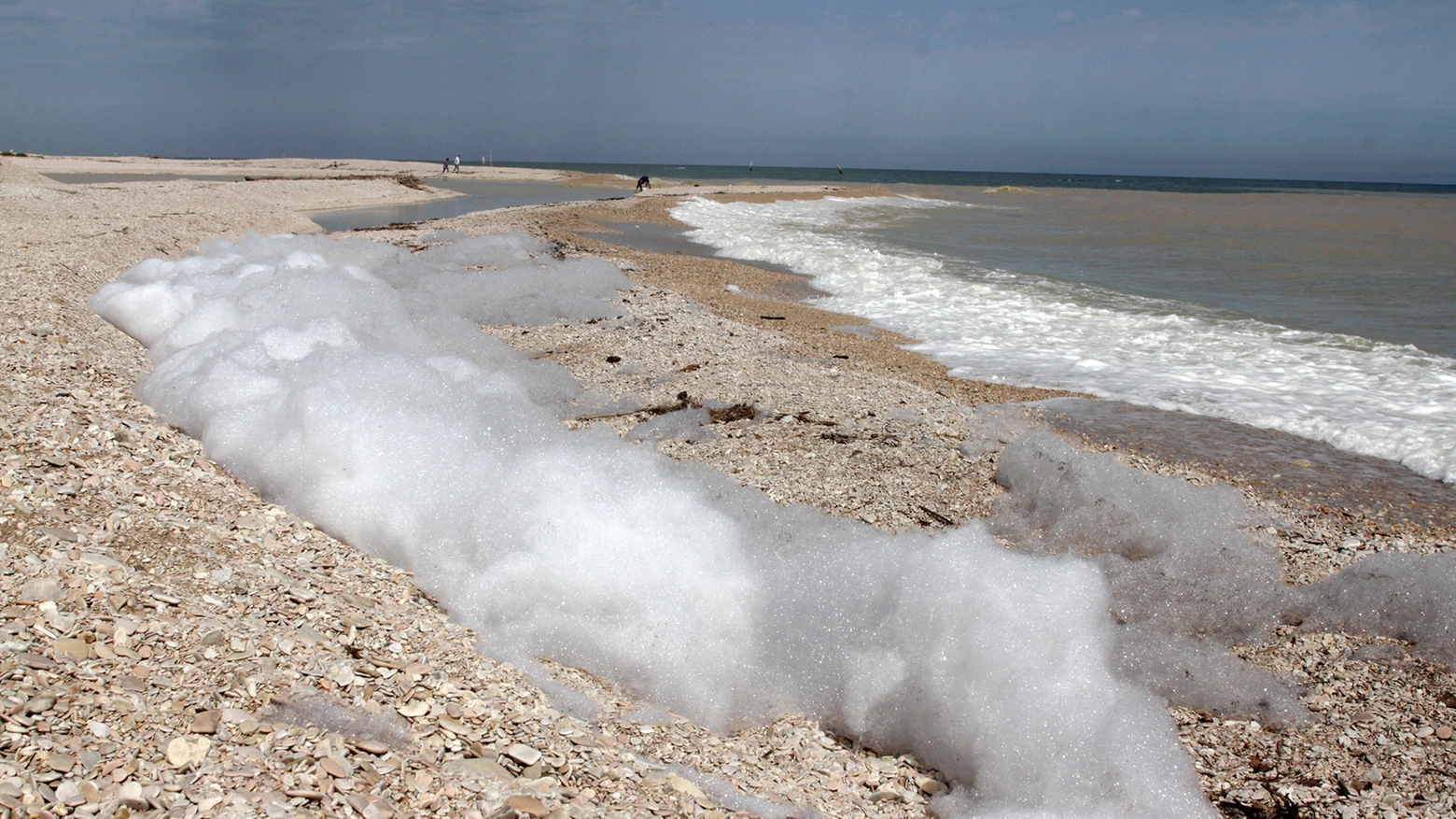 Schiuma sull'arenile del Cesano (foto Effimera)