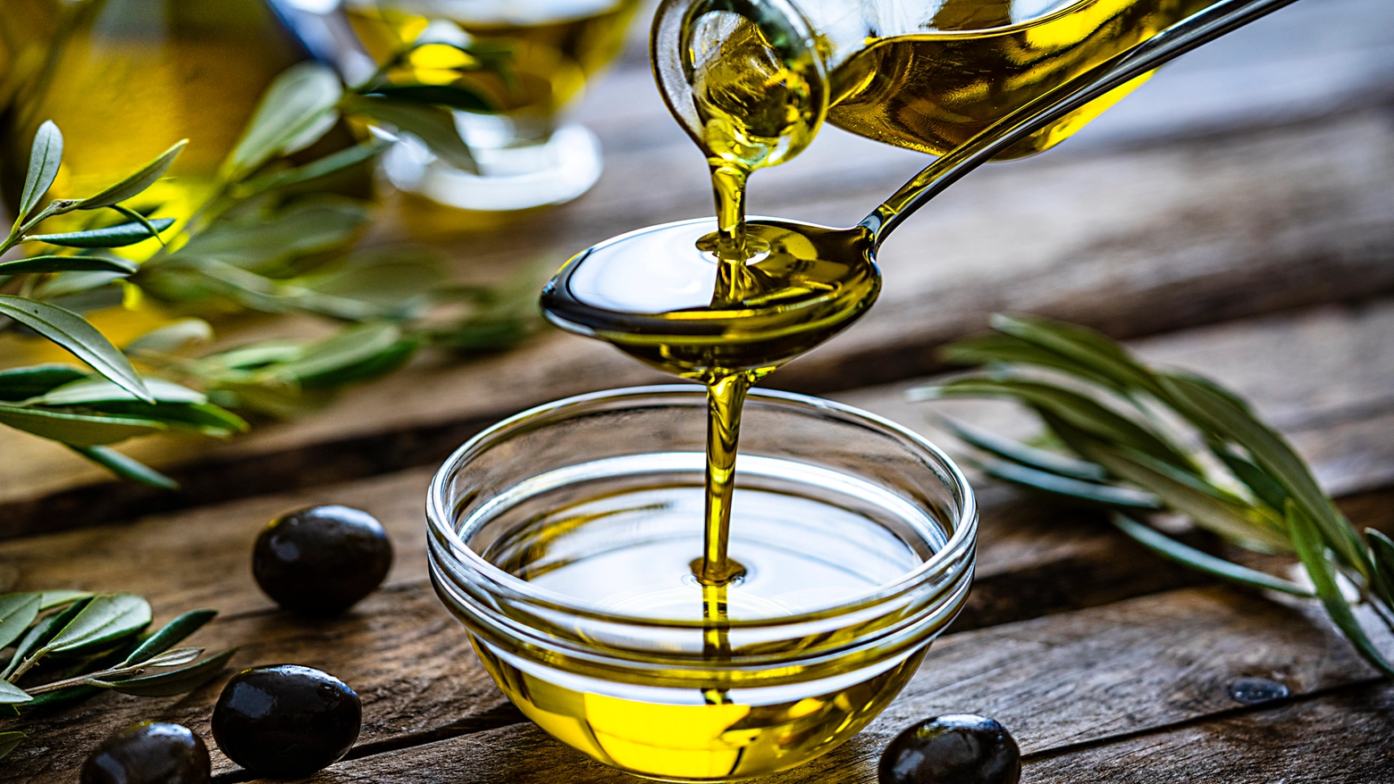 L'olio extravergine di oliva: le migliori produzioni in Emilia Romagna, Marche e Veneto