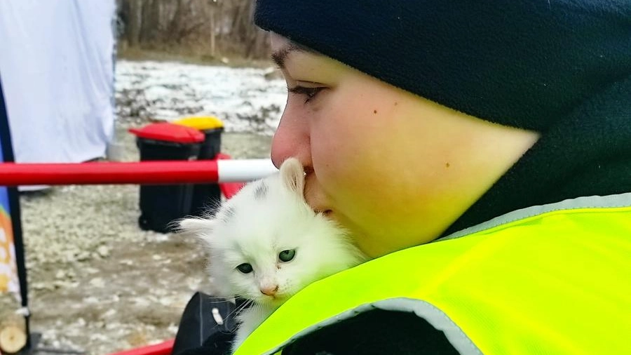 Una volontaria coccola un gattino