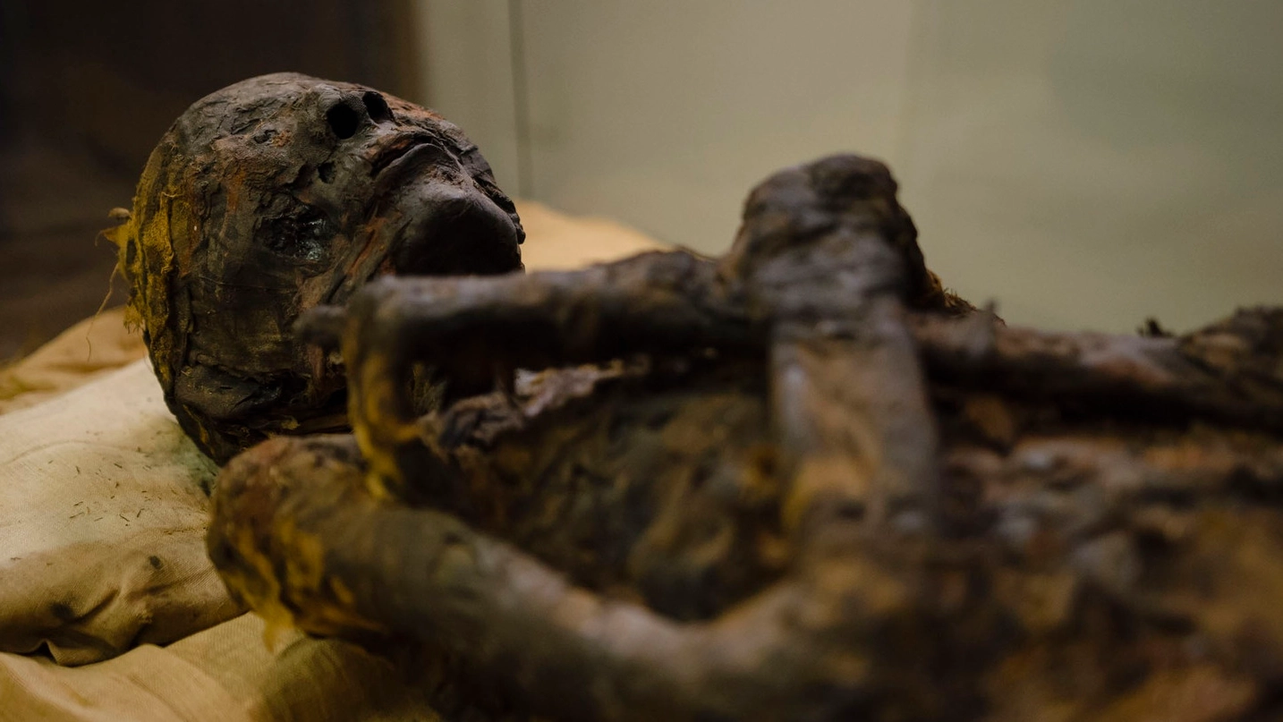 Una delle due mummie che saranno esaminate