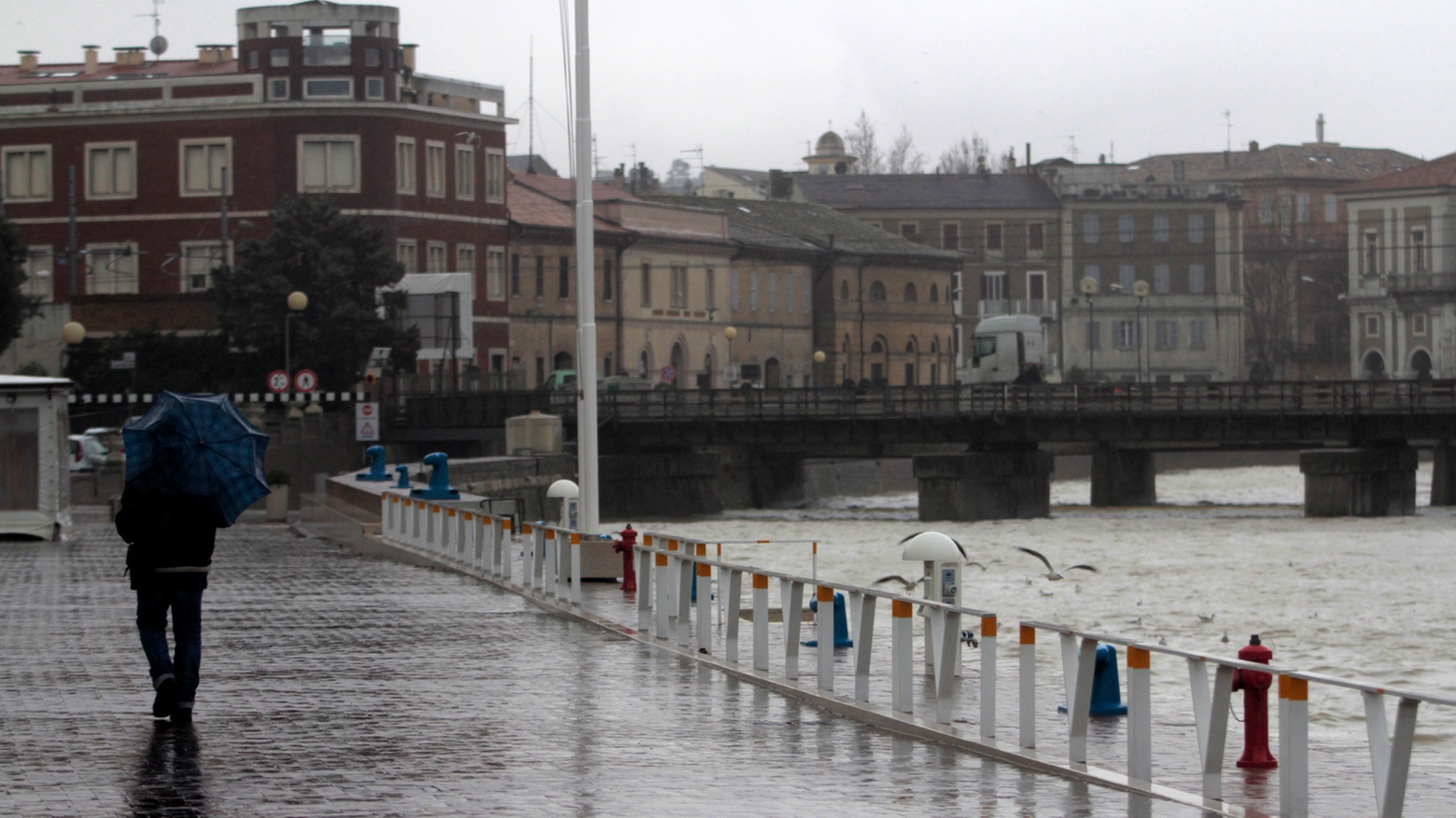 Il fiume Misa ingrossato, ma non ancora ai livelli di guardia (Foto Effimera)