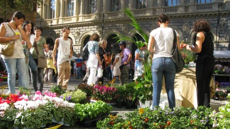 Bologna in fiore in piazza Minghetti