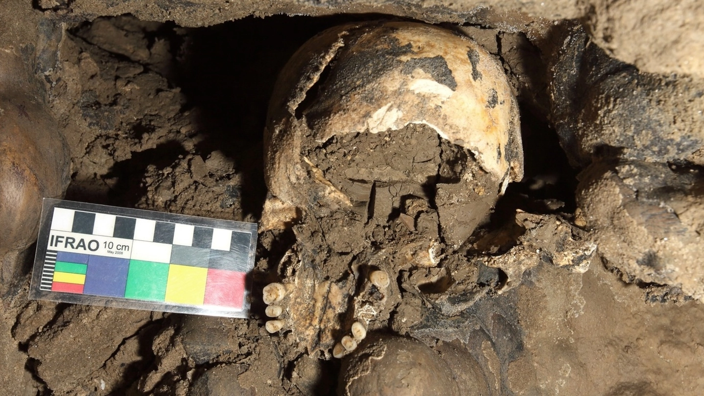 Il cranio umano rinvenuto nella grotta Marcel Loubens, a pochi passi dal Farneto