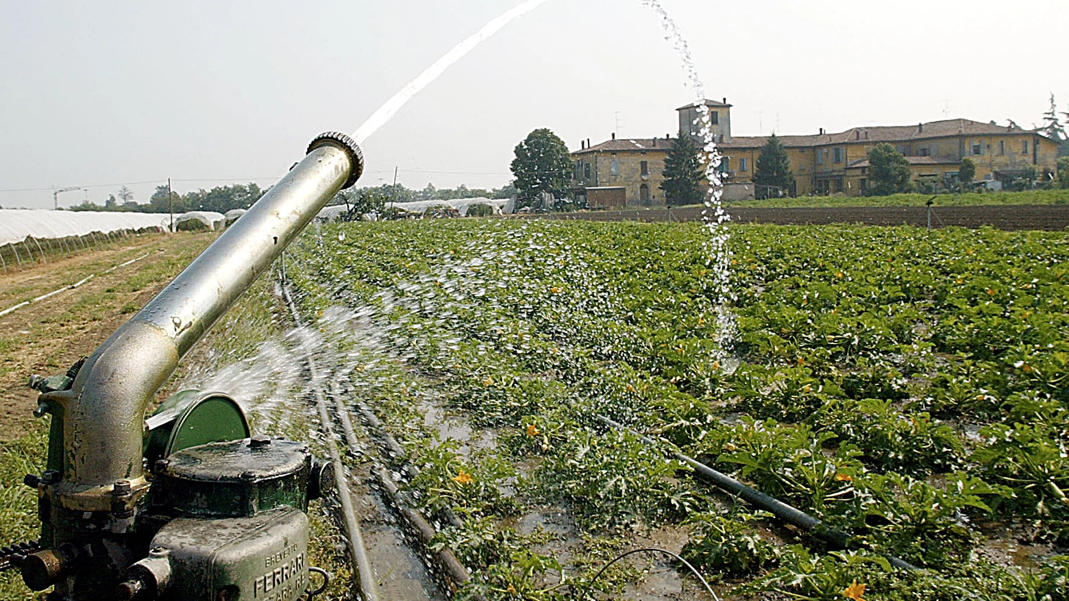 Un impianto di irrigazione in campagna (Foto di repertorio Ansa)