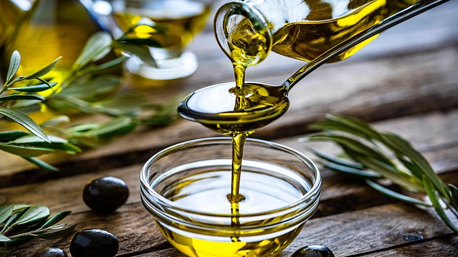 L'olio d'oliva extravergine: la produzione nelle Marche è molto buona
