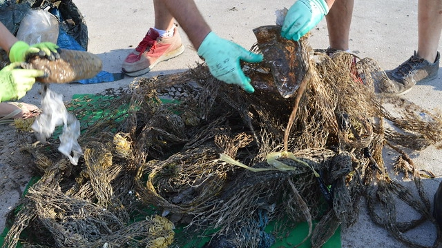 Rifiuti raccolti in mare dai volontari (Foto Dire)