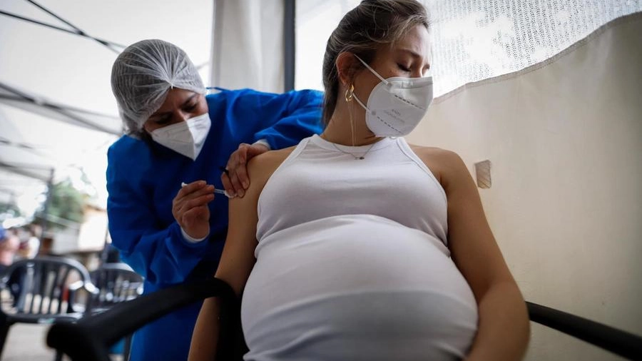 Vaccinazione durante la gravidanza, sì del ministero (Ansa)