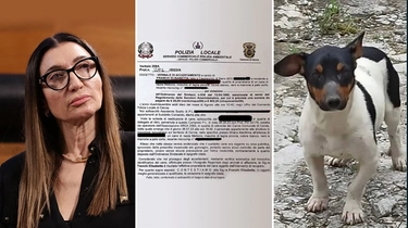 Elisabetta Franchi e la multa al cane scappato: “Un paradosso”