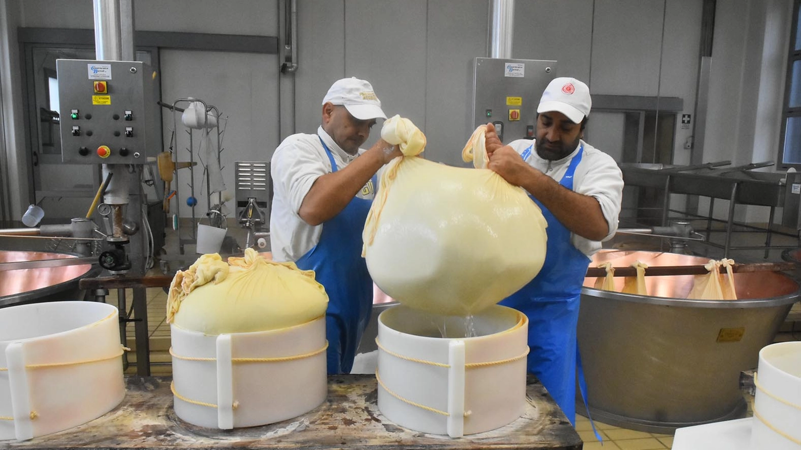 La Nuova Castelli è specializzata nella produzione dei formaggi Dop