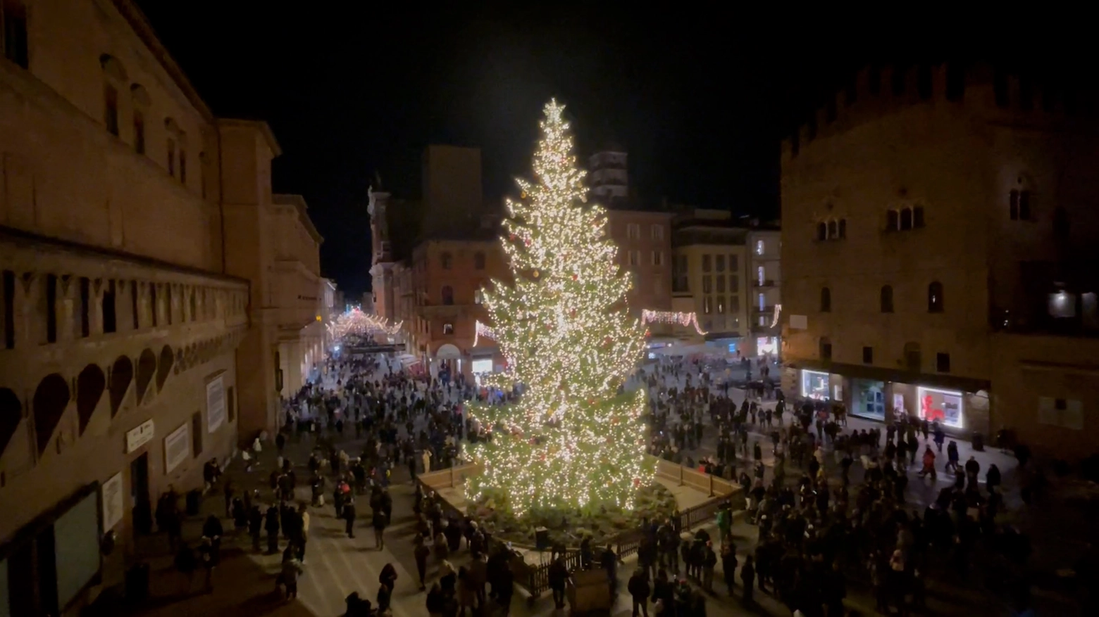 L'albero di Natale acceso nel cuore di Bologna