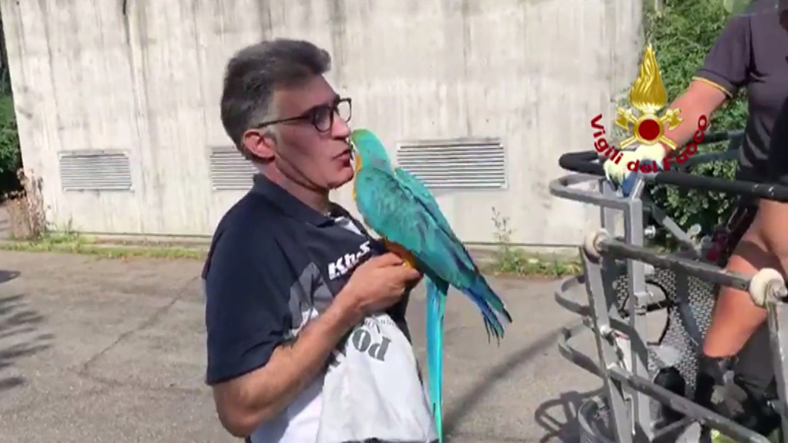 Bologna, il pappagallo restituito al proprietario