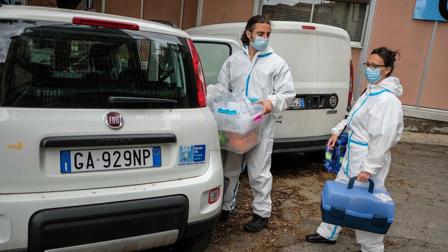 Coronavirus, nessun contagio a Modena città oggi (Germogli)
