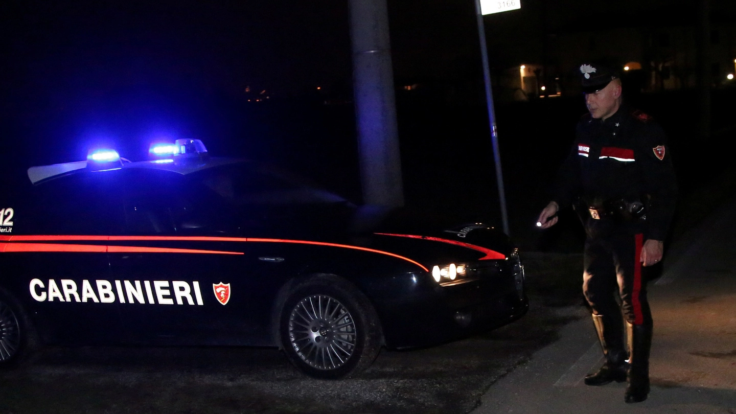 Un intervento dei carabinieri lungo via Medri invasa di carcasse