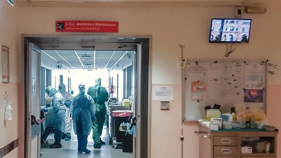Il reparto di terapia intensiva dell’ospedale di Fermo guidato da Luisanna Cola