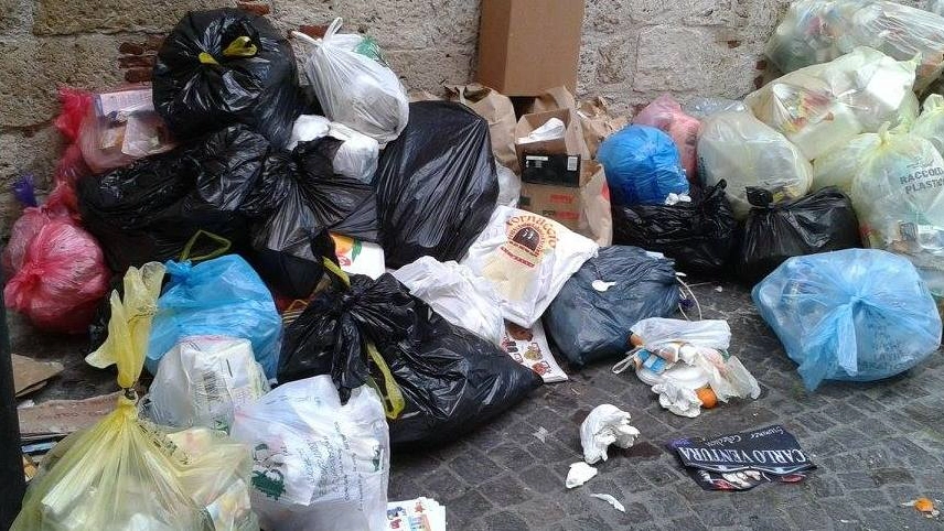 Caos rifiuti, una delle foto inviataci dalla nostra lettrice su Facebook