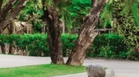 Un'anziana al parco (foto d'archivio)