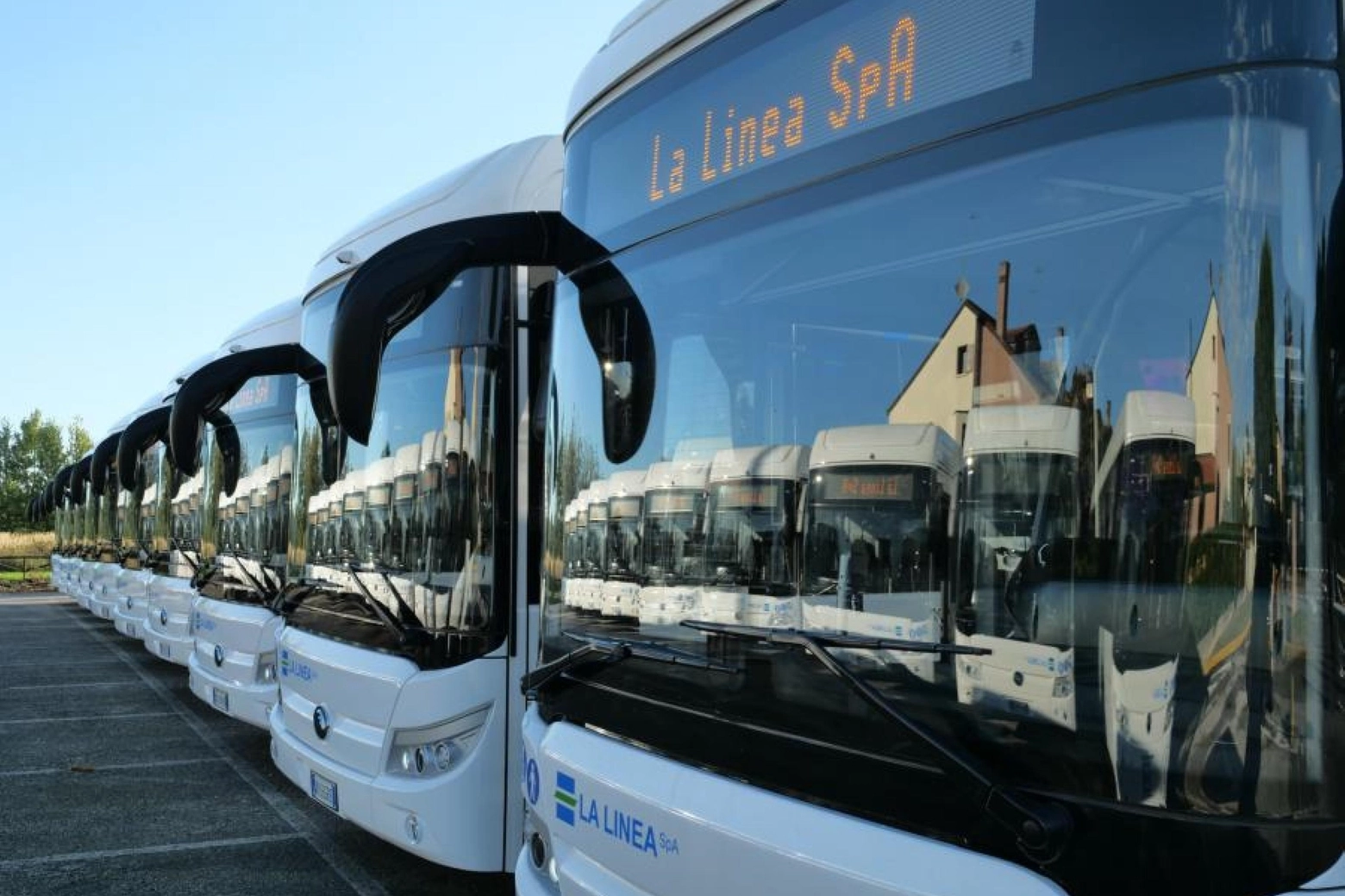 La flotta degli autobus elettrici della società 'La Linea'