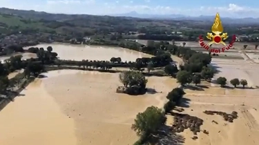 Alluvione Marche, Curcio: "Evento molto peggiore di quanto previsto"