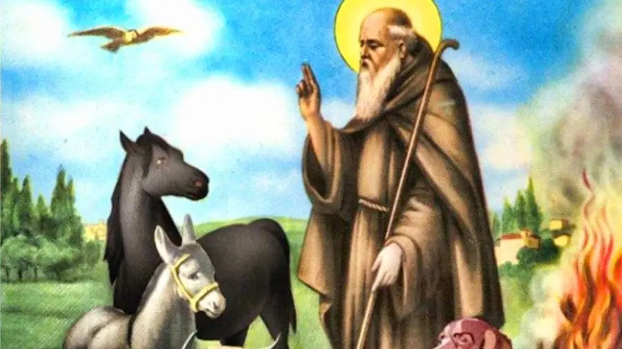Sant'Antonio Abate, 17 gennaio: la ricorrenza del patrono degli animali