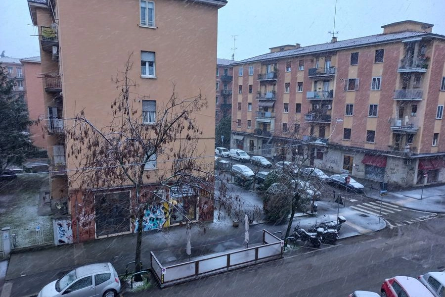 Neve a Bologna in zona Mazzini il 23 gennaio 2023