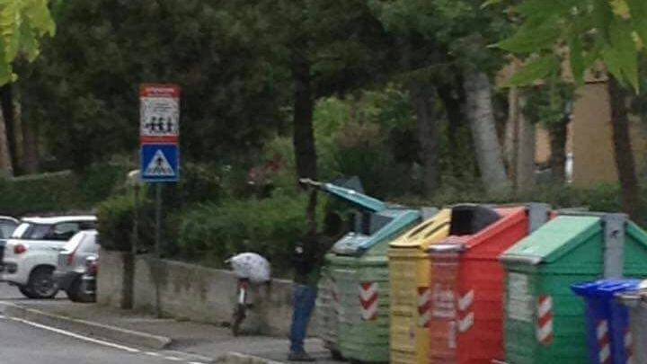 Alla base della richiesta, la foto virale di un migrante che fruga tra i rifiuti
