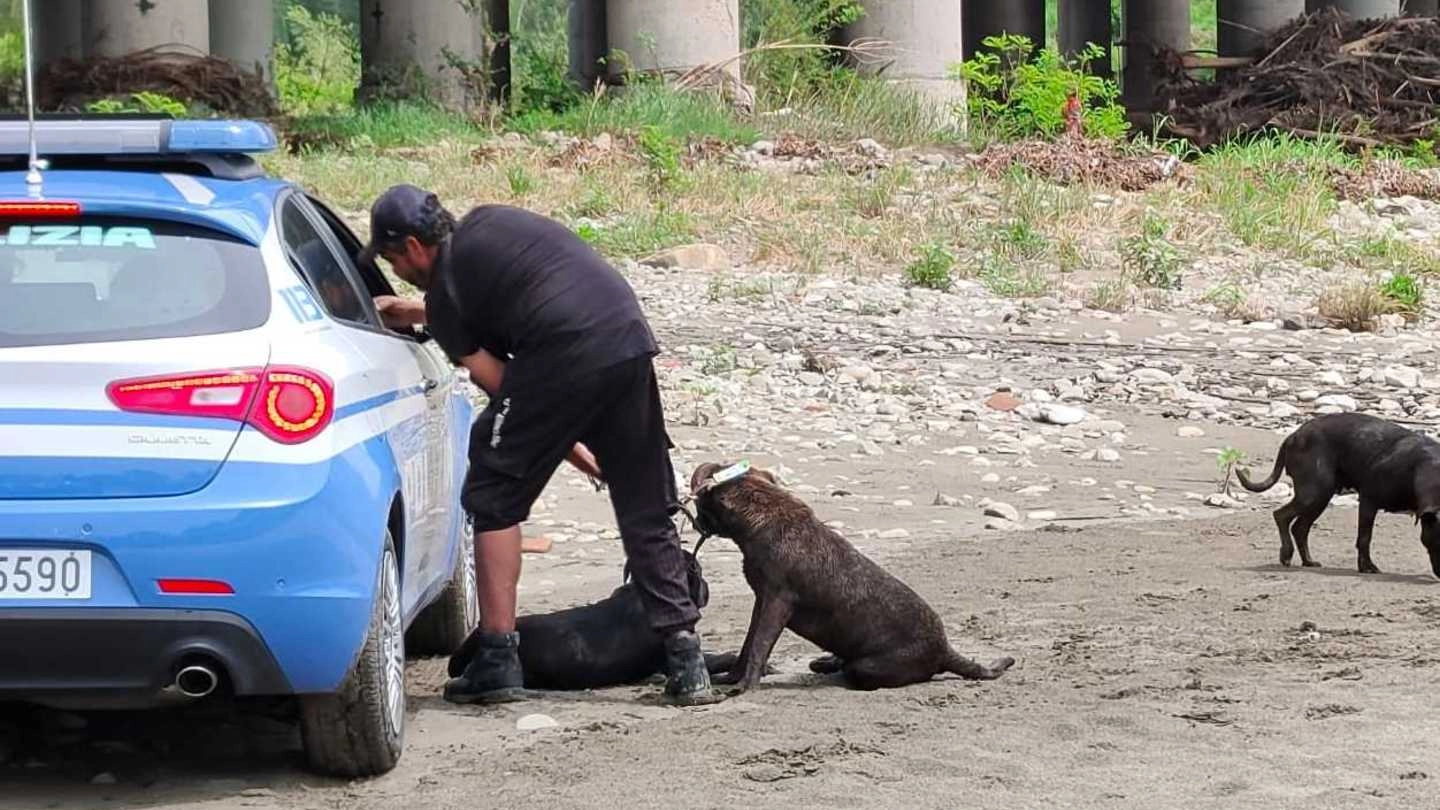 La polizia durante l’intervento nel parco del Reno con il proprietario dei cani