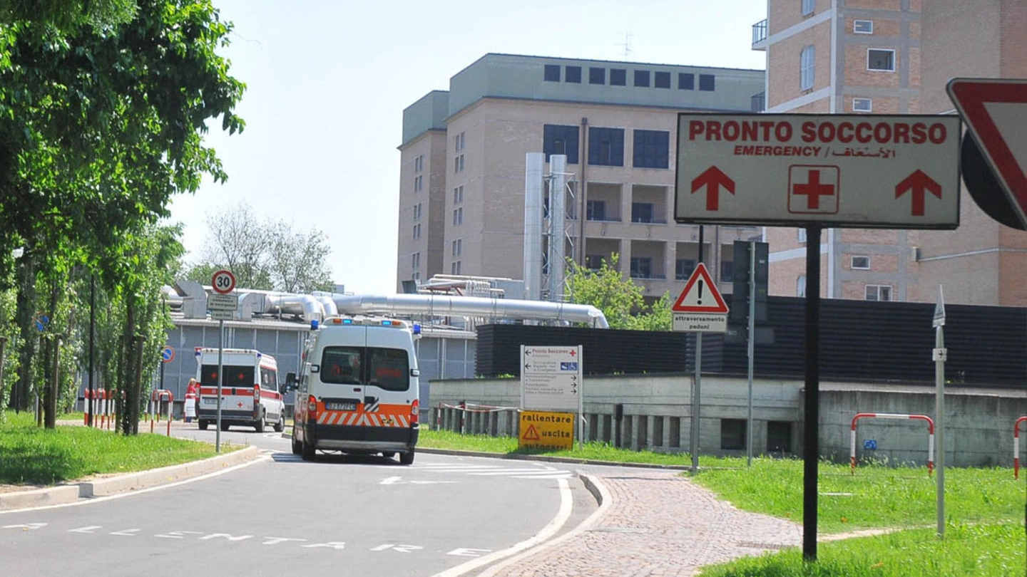 Reggio, l'ospedale Santa Maria Nuova (Artioli)