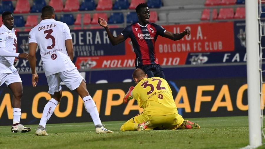 Bologna Torino 1-1, il gol di Barrow (FotoSchicchi)