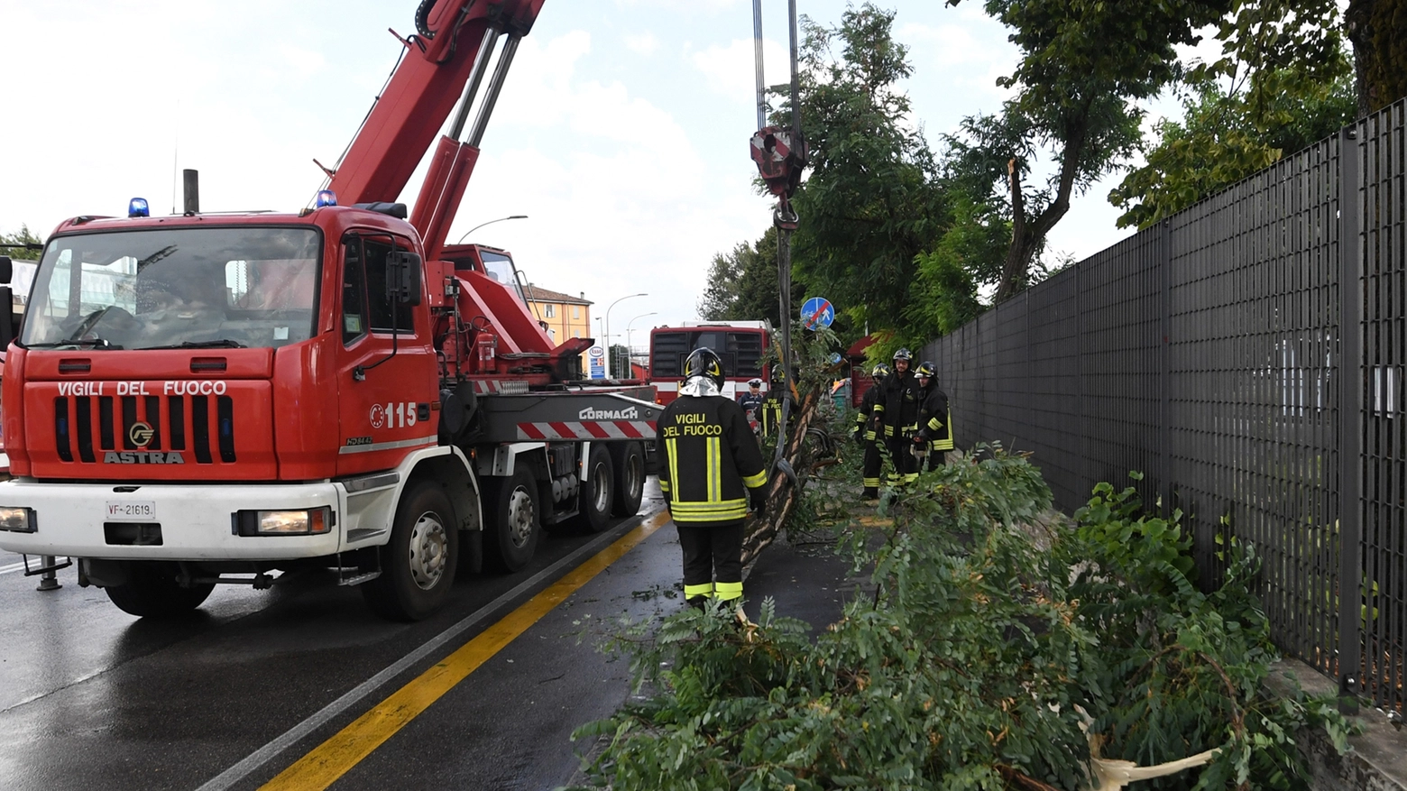 Intervento per albero caduto in via Zanardi (Foto Schicchi)
