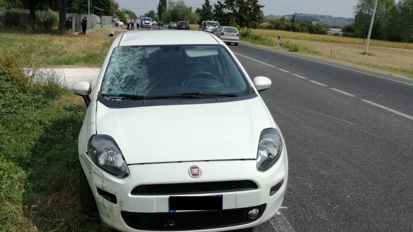 La Fiat Punto guidata dall’87enne di Urbino che ha tamponato violentemente un ciclista sulla Montelabbatese