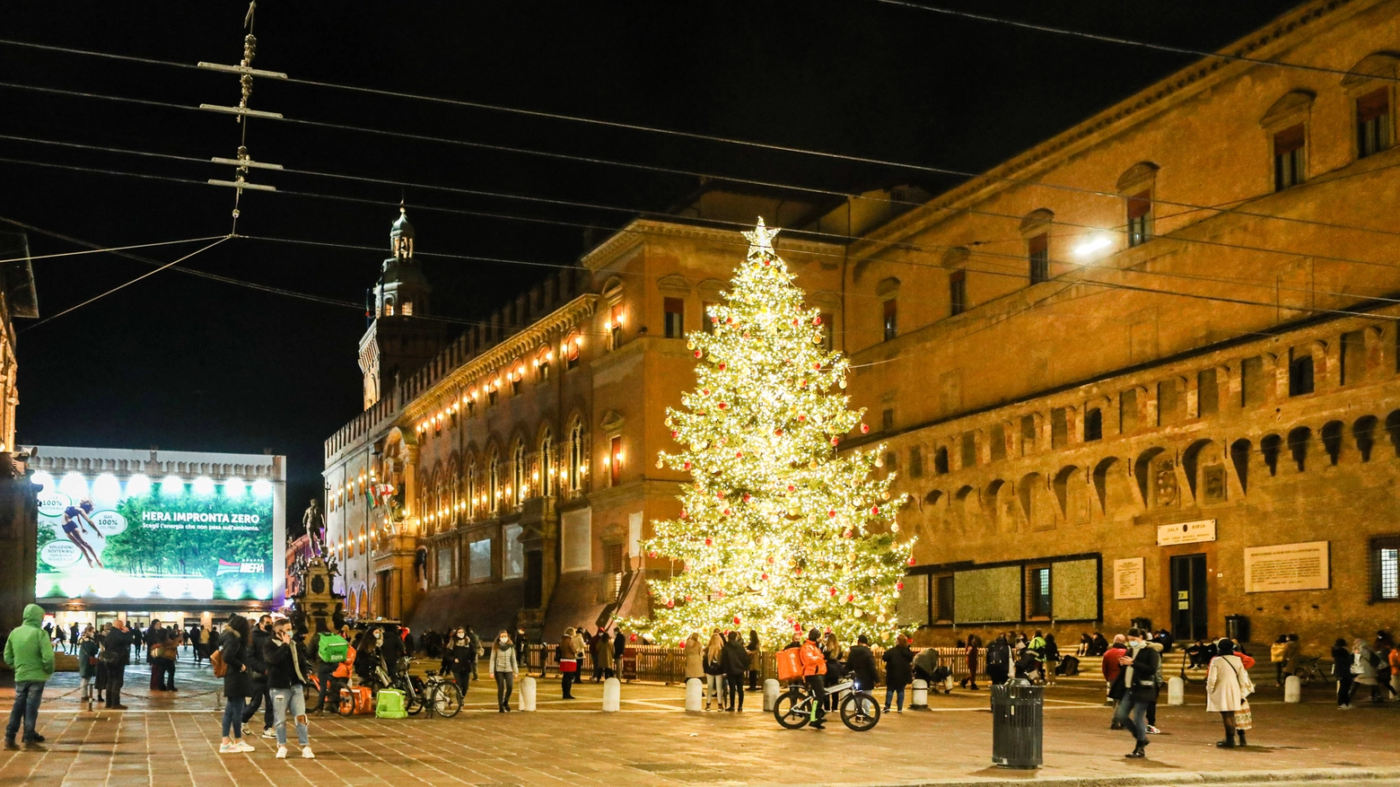 L'albero di Natale in Piazza Nettuno (FotoSchicchi)