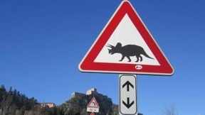 I cartelli pericolo dinosauri (Foto Guiducci)