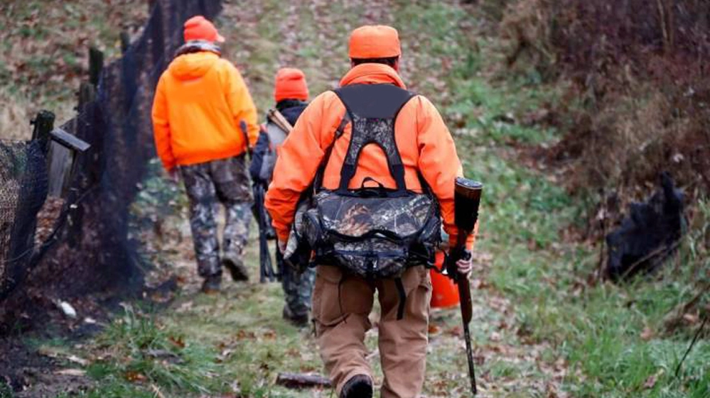 La caccia al cinghiale è aperta ogni anno dal 1 novembre al 31 gennaio