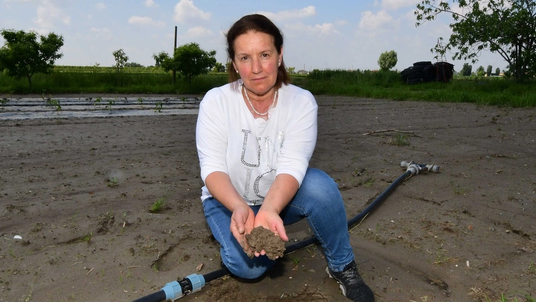 Cecilia Barison, presidente delle donne di Coldiretti, mostra il terreno intriso d’acqua