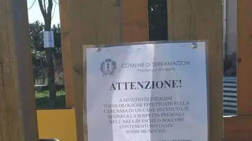 Bocconi avvelenati a San Dalmazio  Cane ucciso vicino al parco giochi