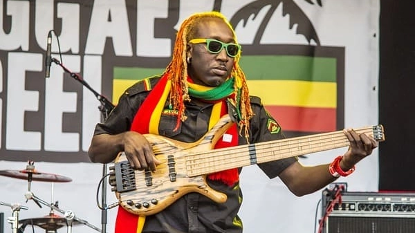 Basso reggae (Pixabay)