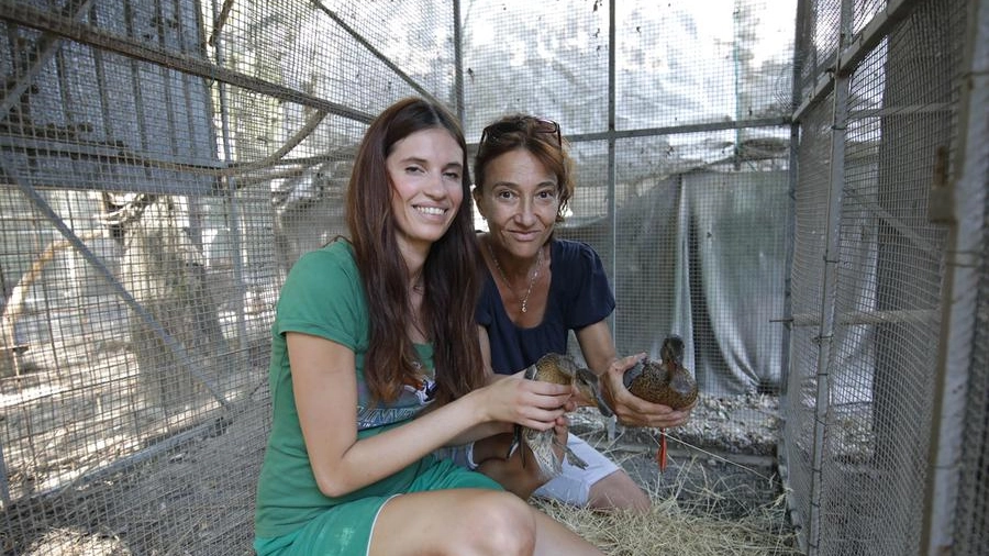 Centro raccolta avifauna selvatica, Giada e Cinzia con due anatre recuperate