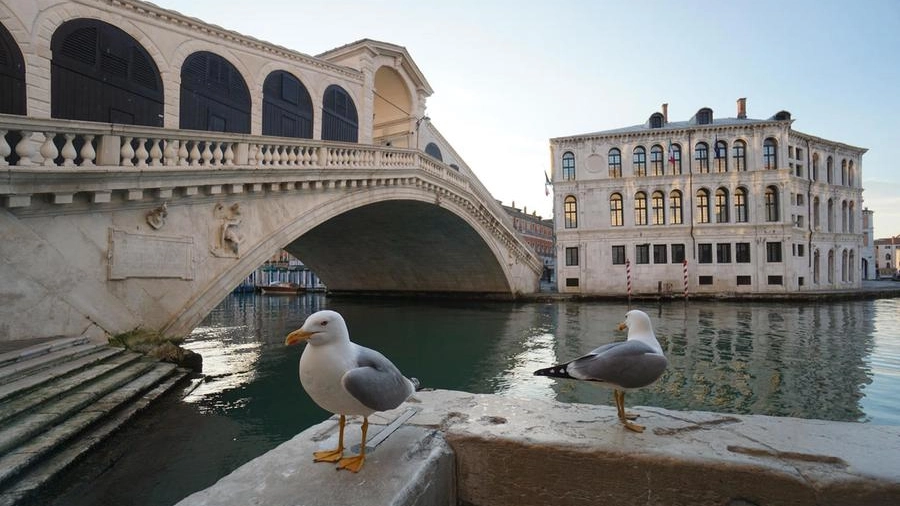 Il Ponte di Rialto a Venezia (Ansa)