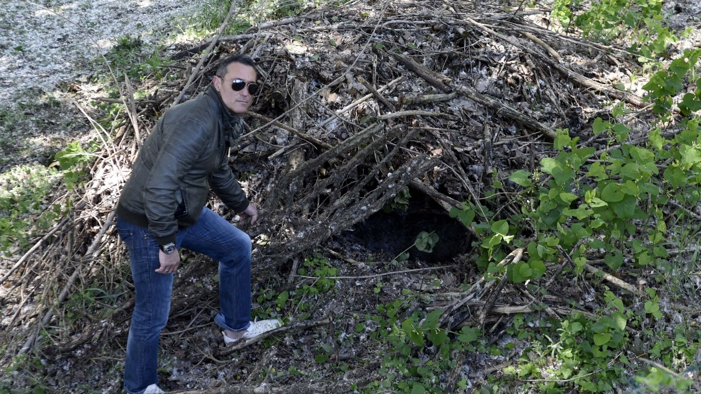 Il giaciglio di legna dove si è rifugiato Igor (foto Businesspress)