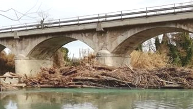 Le campate del ponte ostruite da tronchi e detriti
