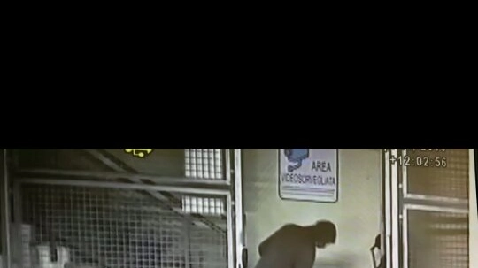 Un frame del video del furto