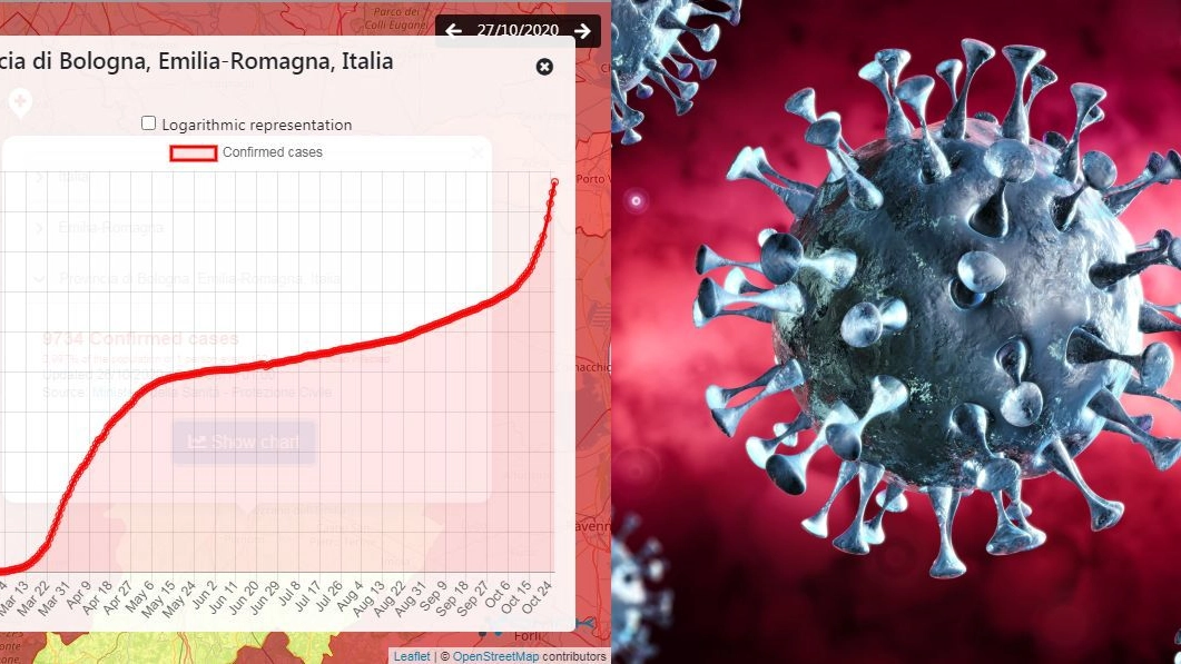 Coronavirus, i casi nel Bolognese nel grafico DMNK Engineering