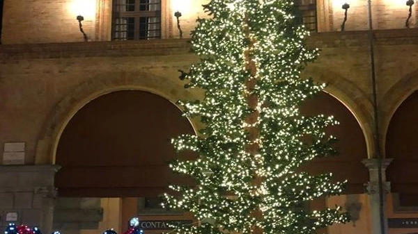 L’albero installato in piazza Matteotti